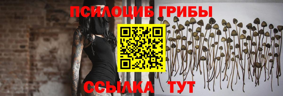 Галлюциногенные грибы мицелий Серов